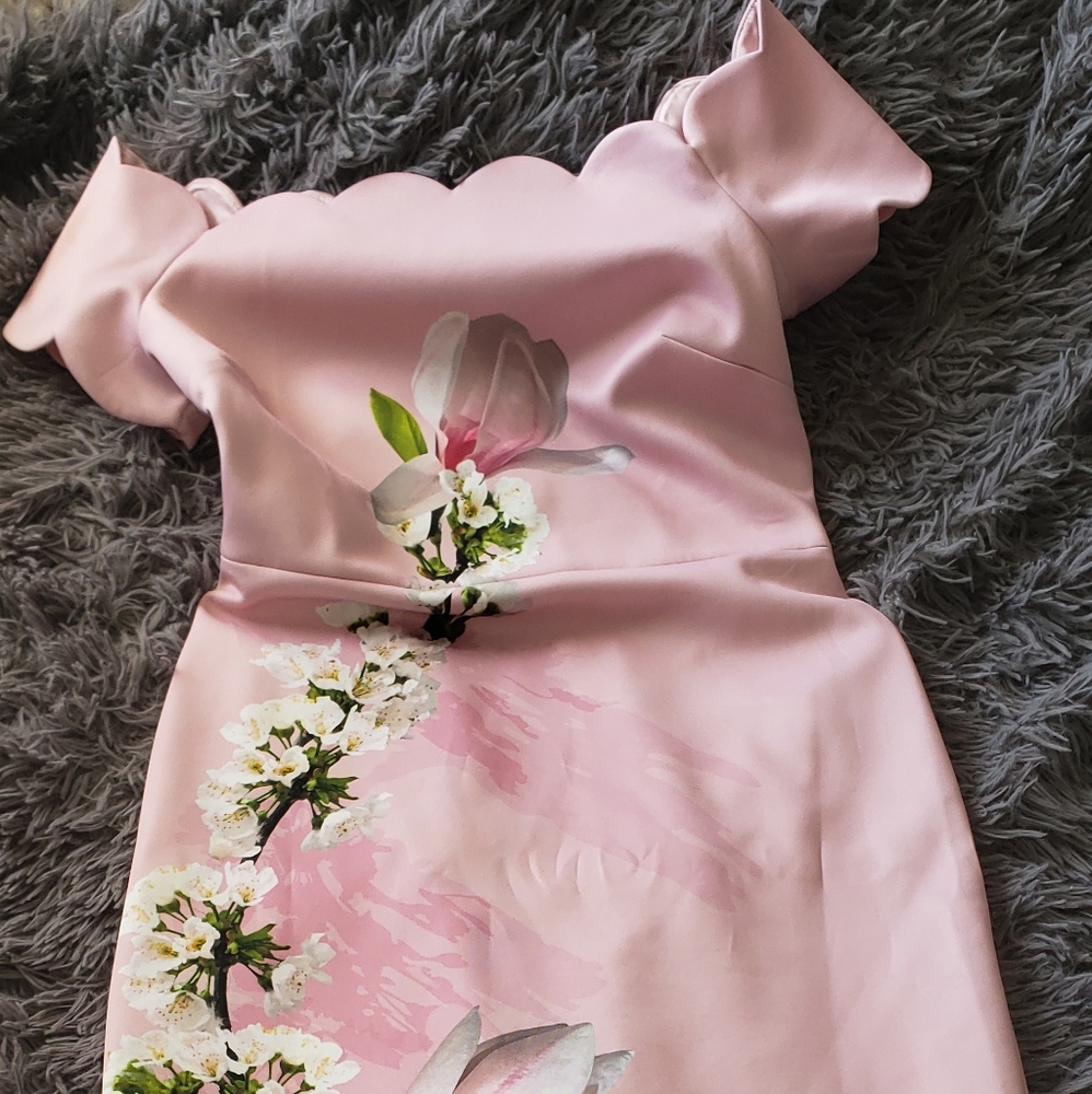 Beautiful Ted Baker dress. Ted size 2